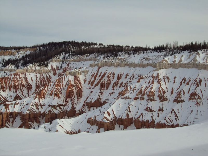 Cedar Breaks Rim Ice Formations