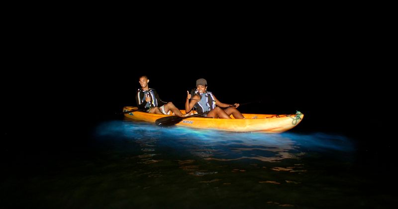 Bioluminescent Bays