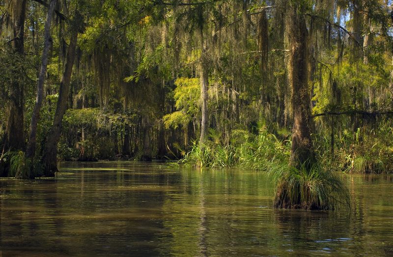 Traveling Responsibly in Louisiana’s Wildest Waters