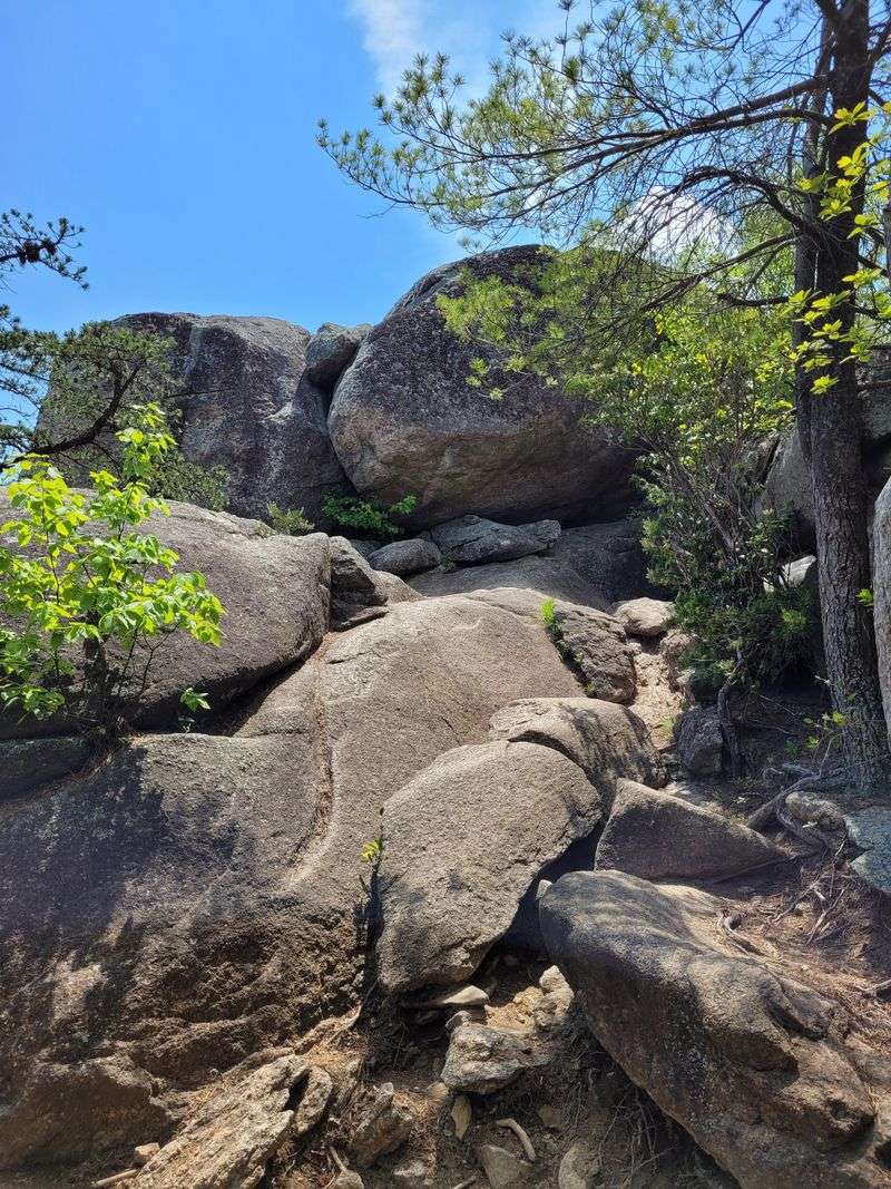 Rock Scrambling Creates Natural Teamwork