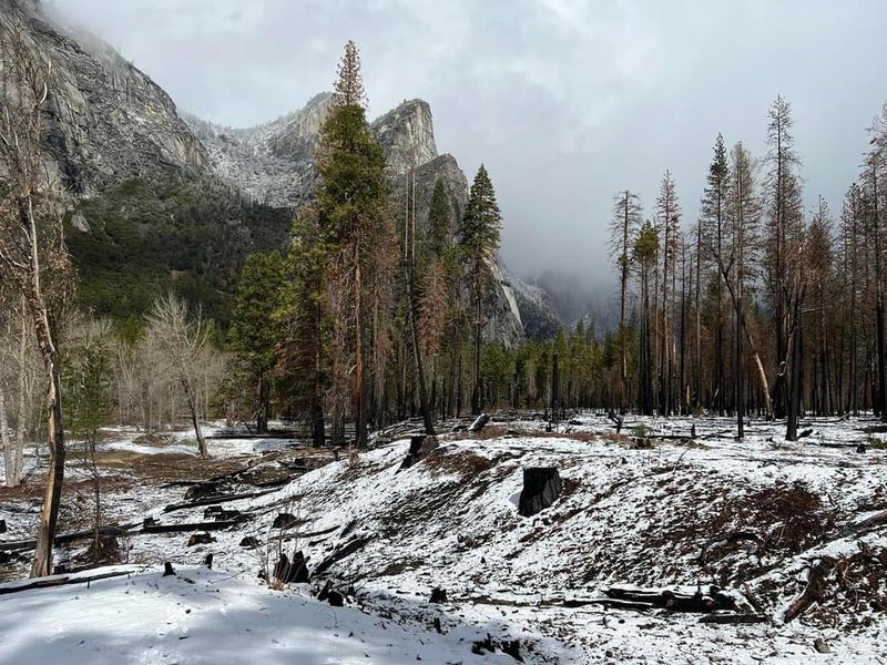 The Main Slopes That Still Cut Through the Woods
