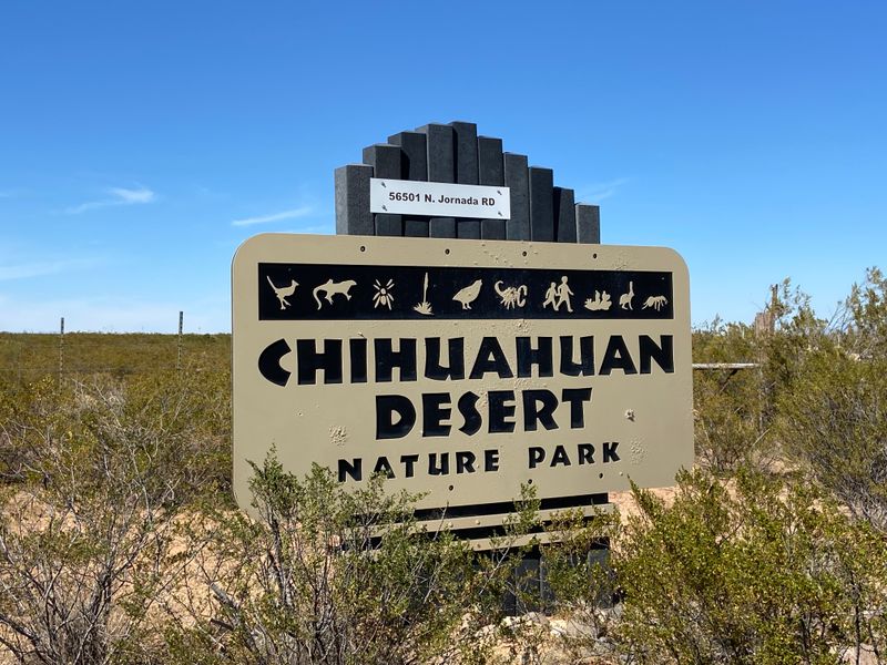 The Desert's Rejection: Unforgiving Winds