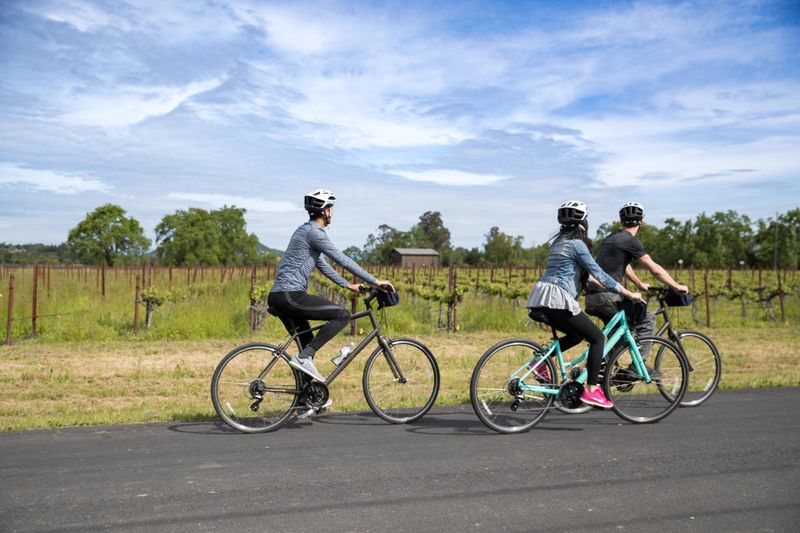 Bike or Walk the Napa Valley Vine Trail