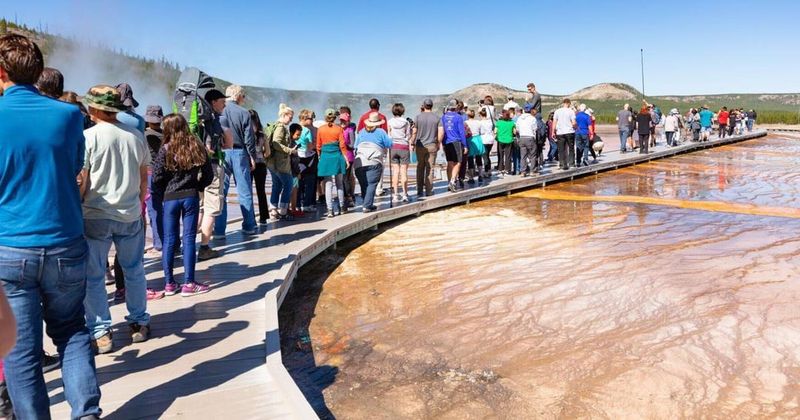 Yellowstone and the Crowds That Changed Everything