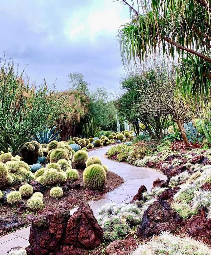 The Beauty of Harsh Environments