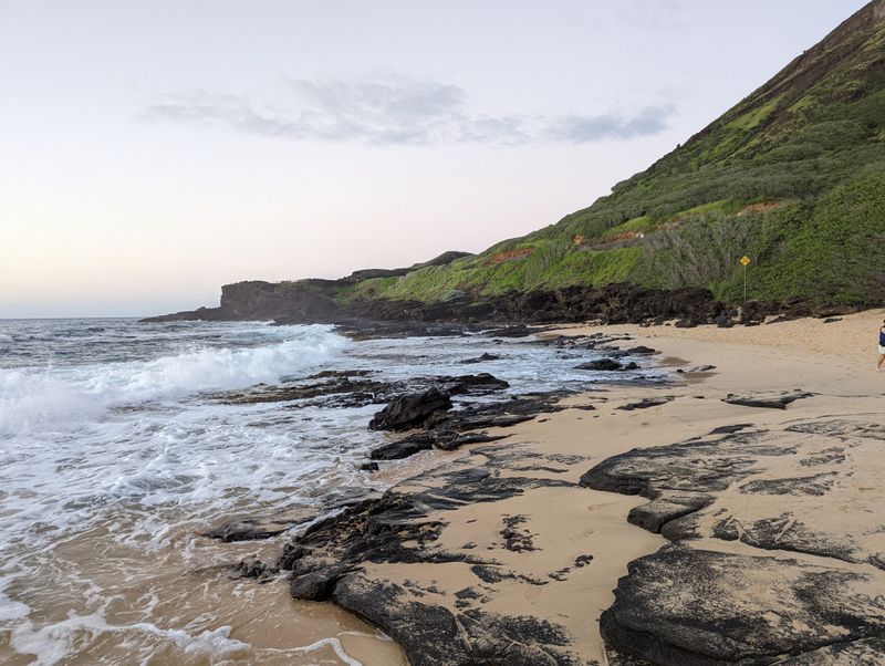 Sands That Remember Old Paths