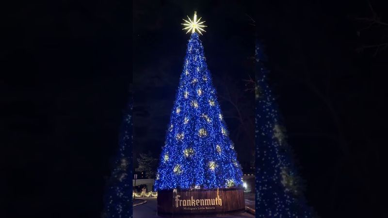 The Spectacular Musical Tree Show