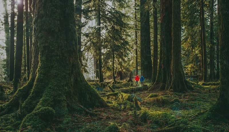 Practical Ways to Wander - Respecting the Spirits and the Wild