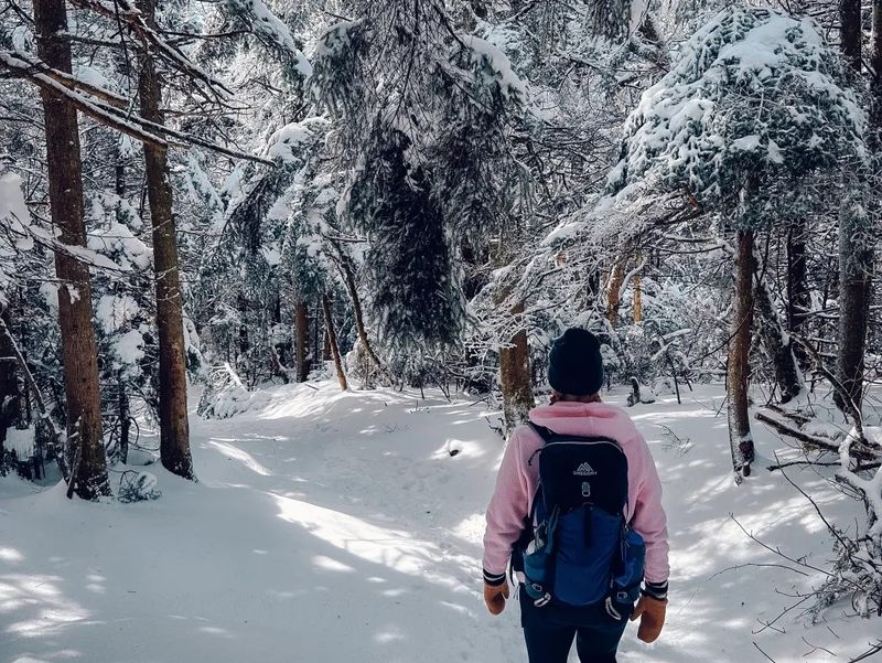 Guided Nature Walks and Snowshoeing in the Berkshires