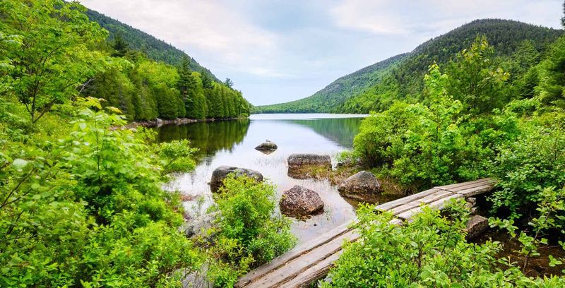 Genuine Escape from Modern Life's Pressures