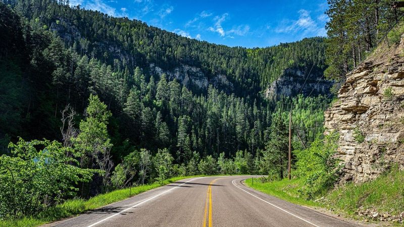 The Road to Rushmore: When the Journey Feels Bigger Than the Destination