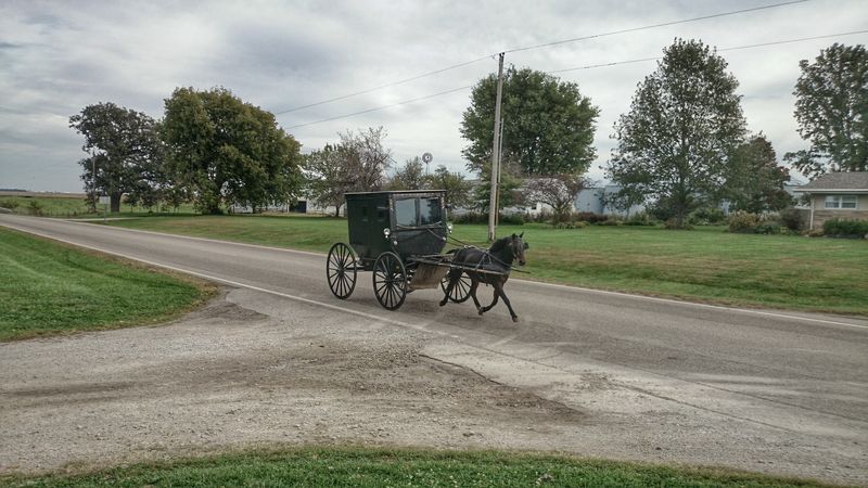 Arthur Back Roads (Arthur and Arcola area)
