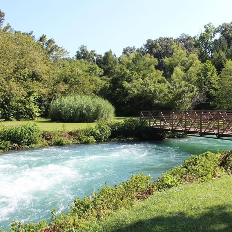 Mammoth Spring State Park