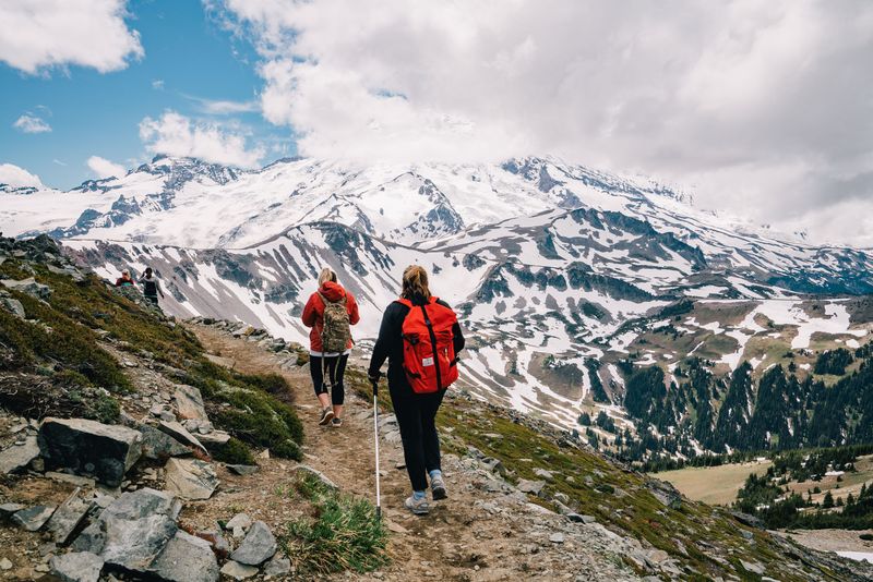 Cell Phone Photography Obsession