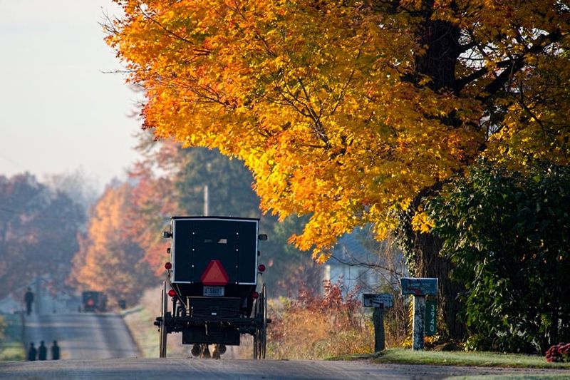 The Backroads of LaGrange County