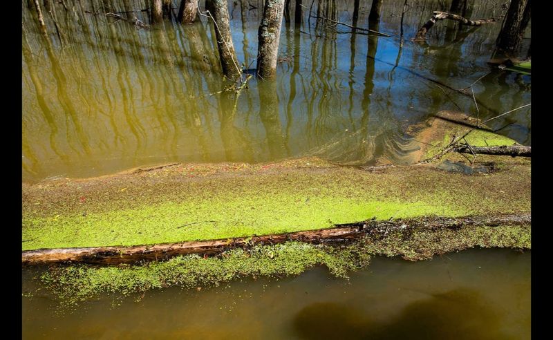 Beanblossom Creek (Monroe/Brown County)