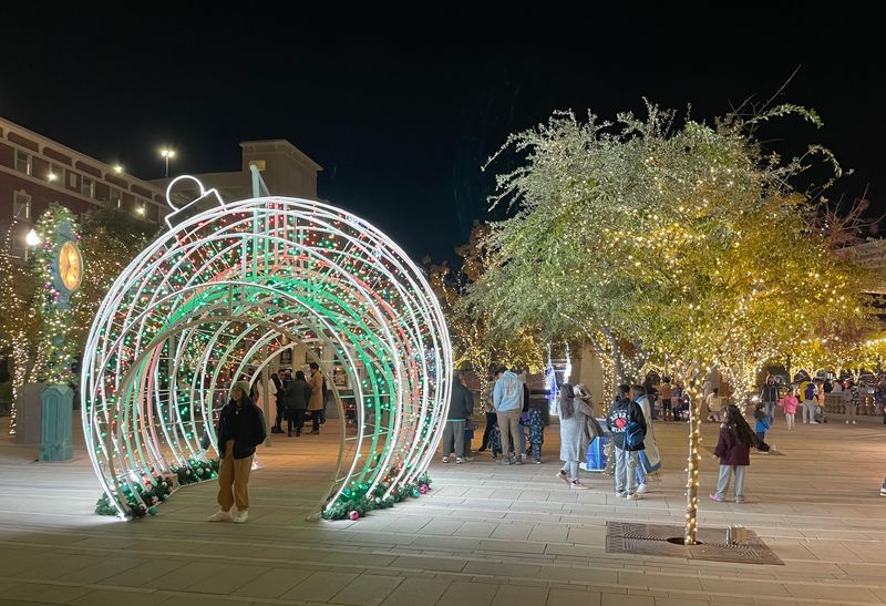 A Local's Dream Lost