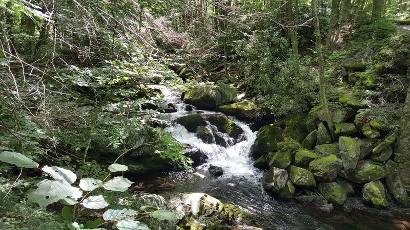 Trails That Start Just Beyond Town