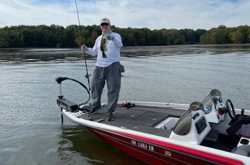 Whale Hunting Is Prohibited on Sundays