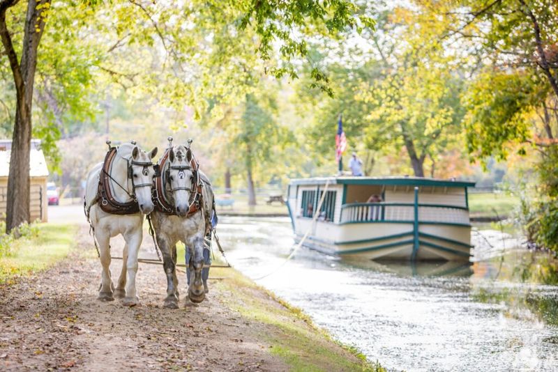 Take a Horse-Drawn Canal Boat Ride
