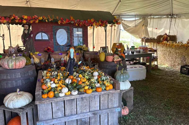 Seasonal Events and Harvest-Themed Celebrations