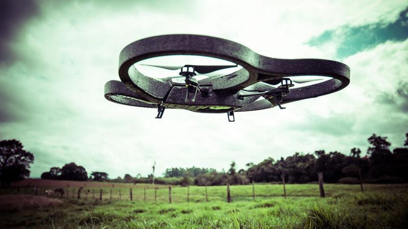 Ignorance of Ag-Gag Sensitivities