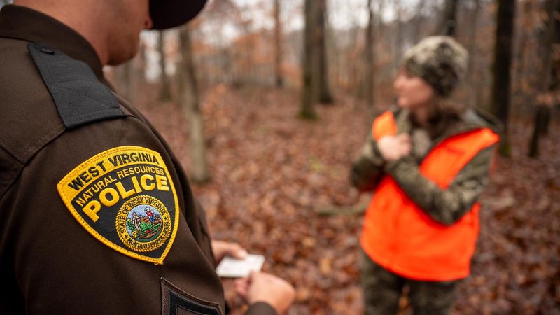 Hunting from Vehicles is Highly Restricted