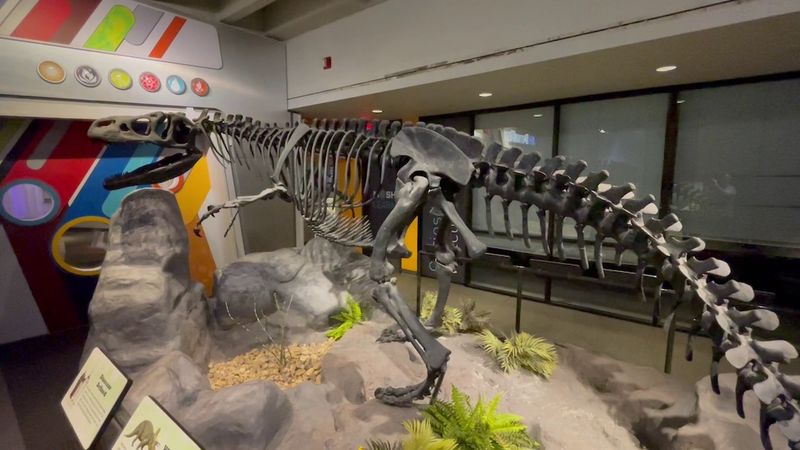 The Quirky Museum of Science and History