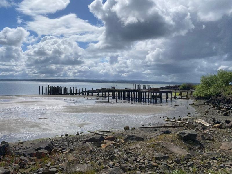 Tokeland, Willapa Bay