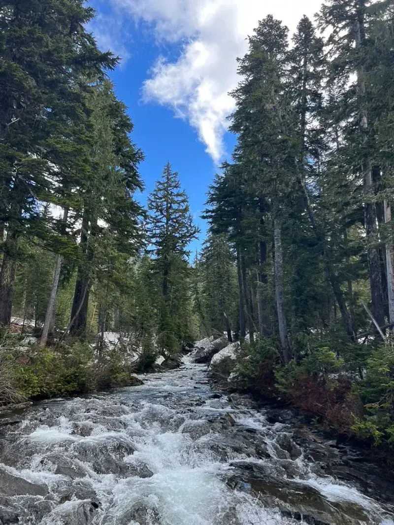 Unexplained Disappearances - Vanishing Paths