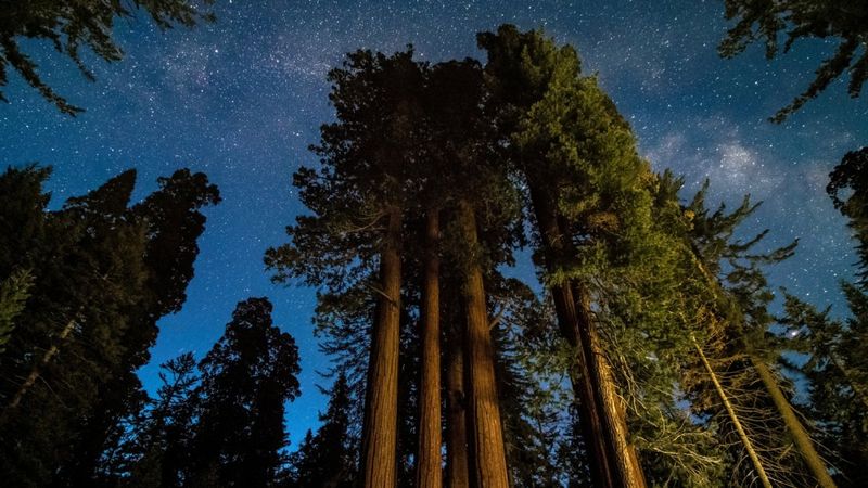Sequoia National Park Twilight Hike – Sequoia National Park