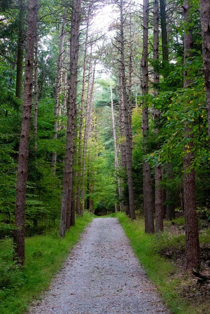 Nolde Forest Environmental Education Center side trails (Berks County)