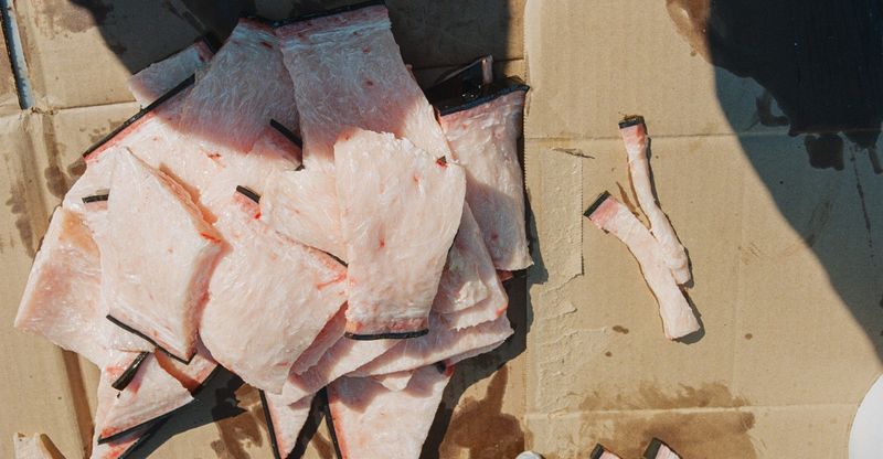 Traditional Foods and Ice Cellars