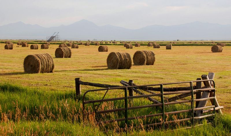 Ranching Heritage and Culture
