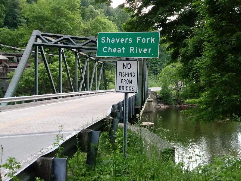 The Cheat River Confluence