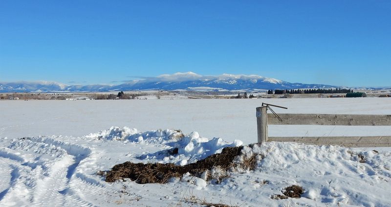 Townsend Surrounded by Quiet Ranchlands