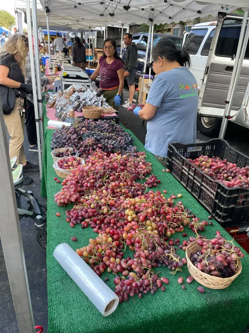Hollywood Farmers' Market, Los Angeles