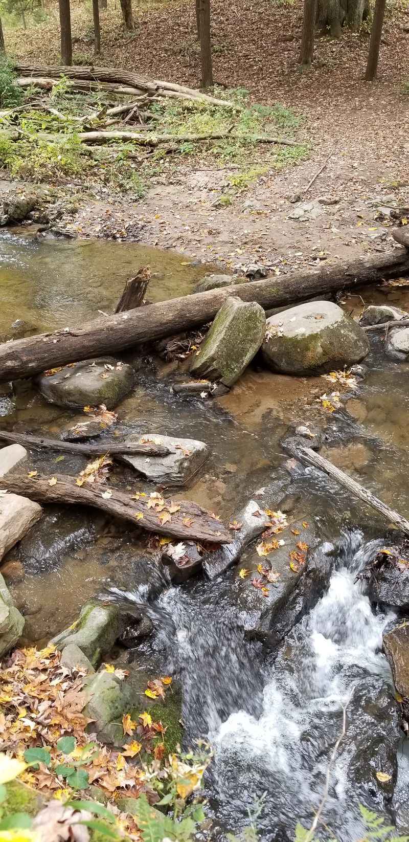 Hike at a State Park