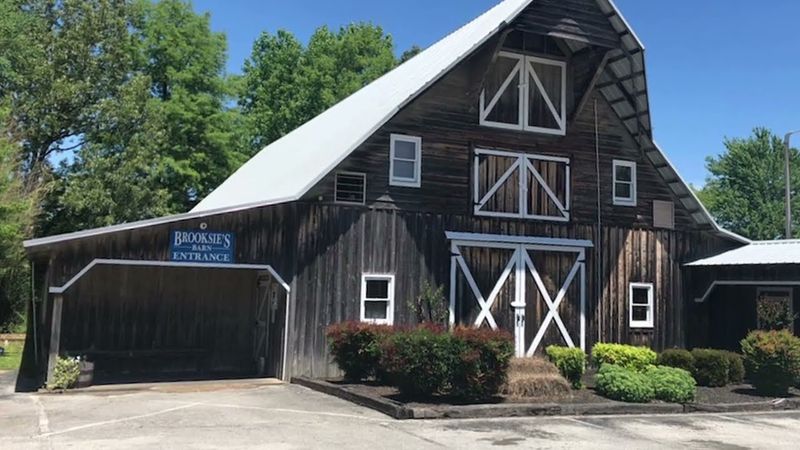 Practical Tips, Contacts, and Staying Updated