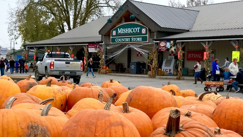 Pumpkin Displays That Turn Every Corner Into a Photo Moment
