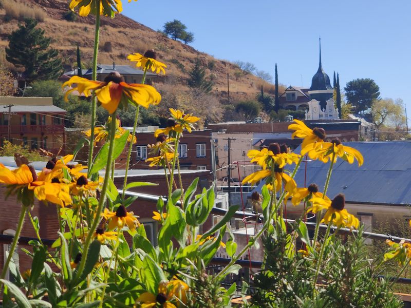 Bisbee’s Lasting Impression