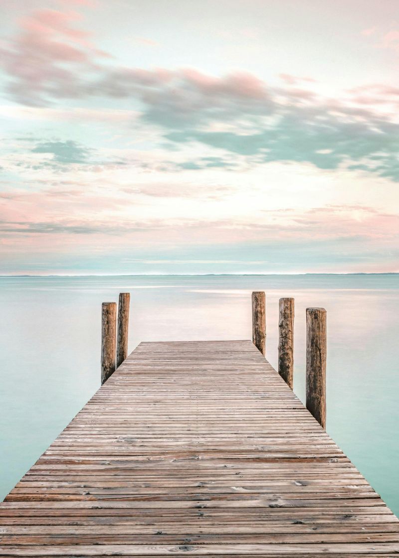 Nature’s Quiet Claim Over the Past