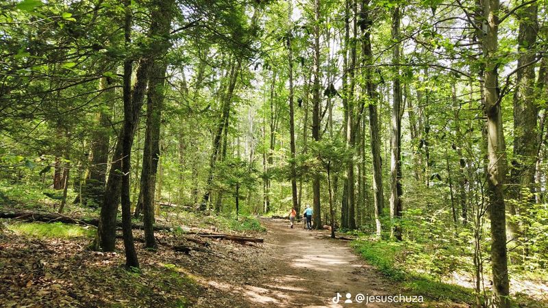 Riverfront Parks Offering Bright Leaf Covered Paths