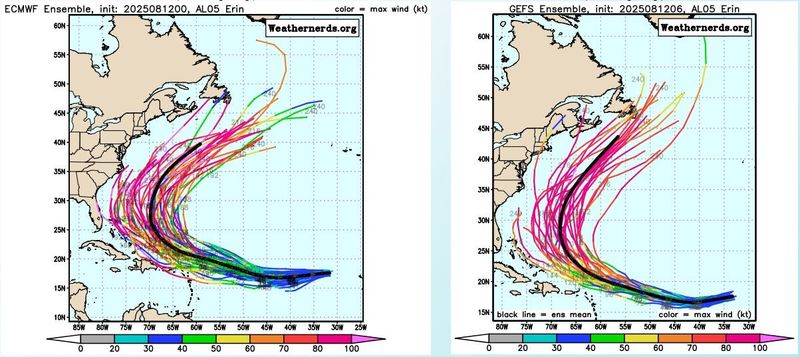 Tips for Staying Informed