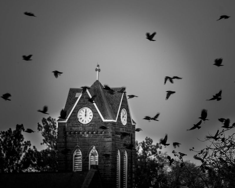 Why Alton Continues to Attract Curious Travelers