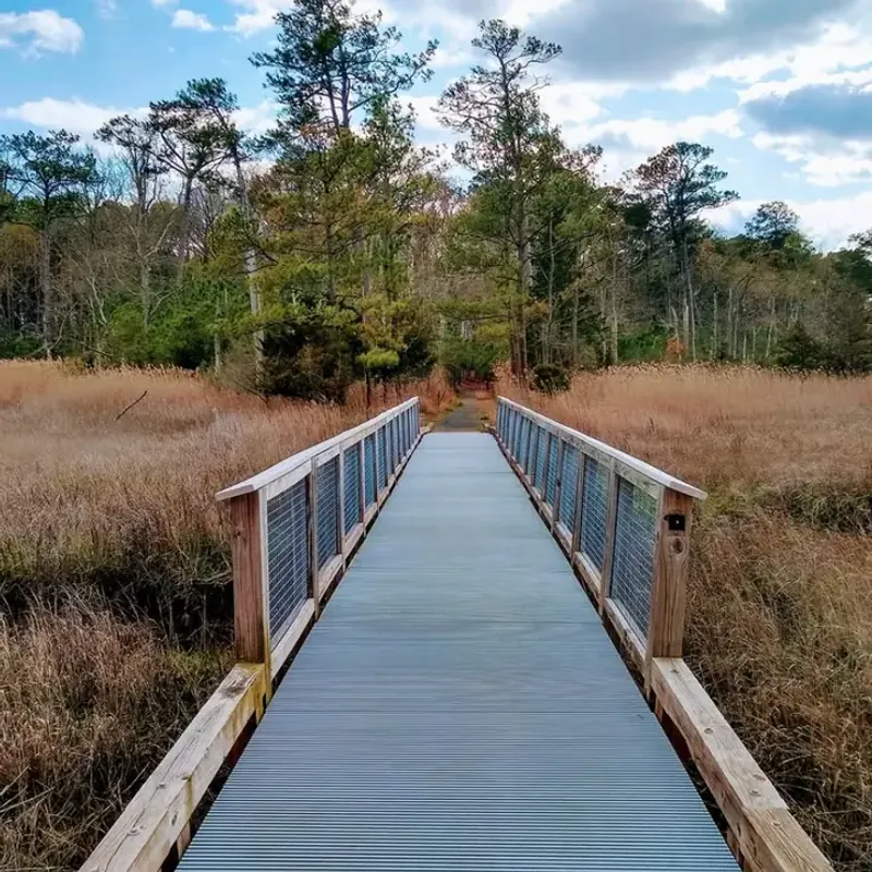 What Travelers Overlook in the Rush