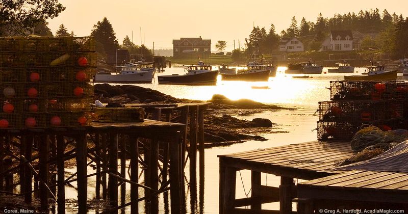 A Shoreline That Mirrors Old Photographs