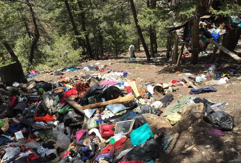 The Tourist Habits Locals Notice First