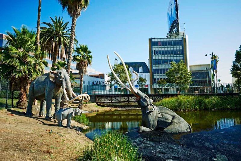 La Brea Tar Pits