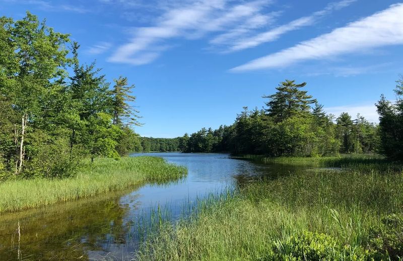 Ludington State Park